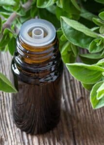 Oregano Oil for treating gum